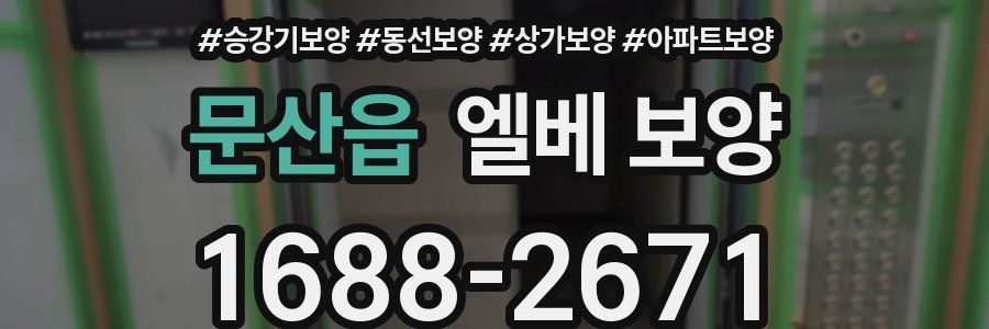 문산읍 엘베 보양