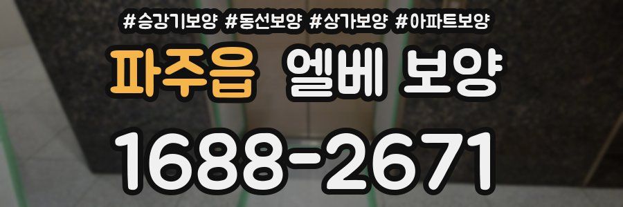파주읍 엘베 보양