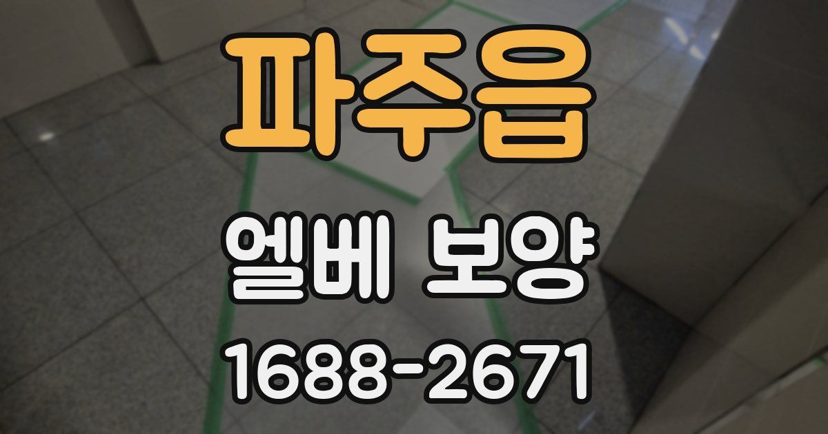 파주읍 엘베 보양