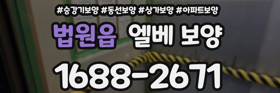법원읍 엘베 보양