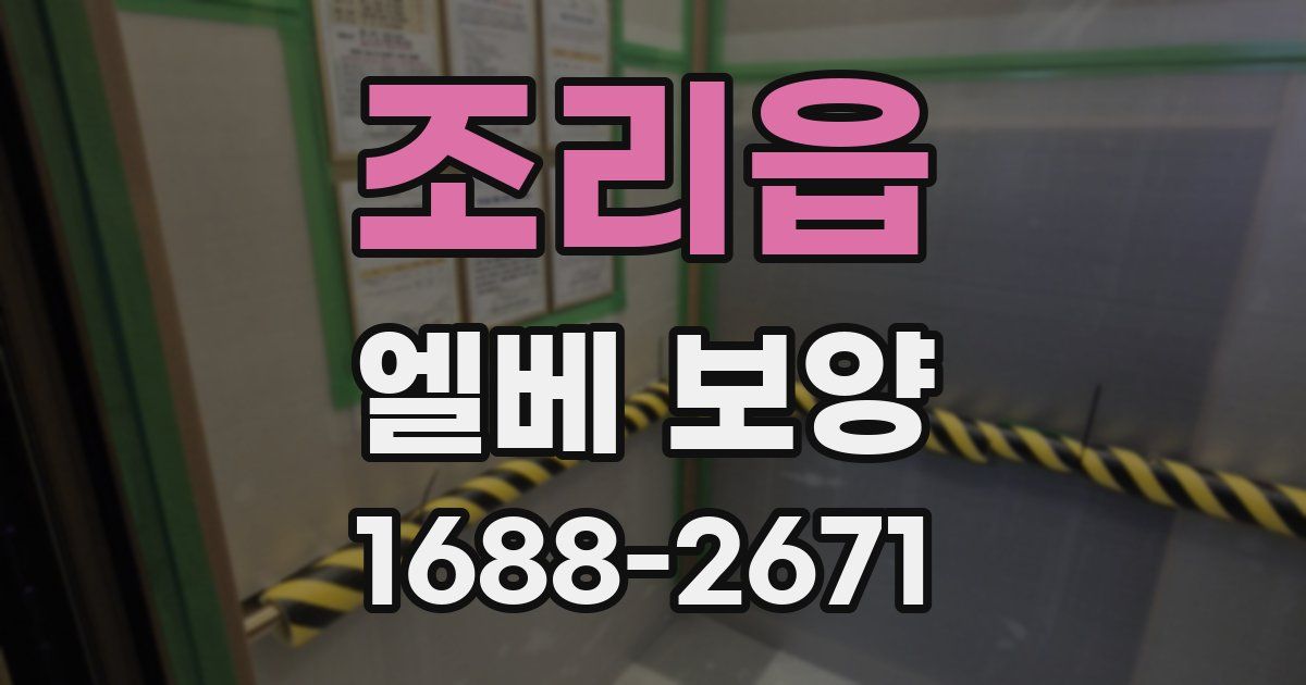 조리읍 엘베 보양