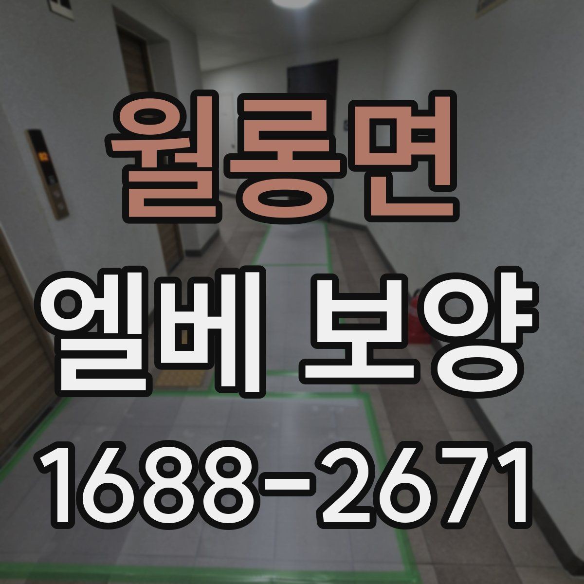 월롱면 엘베 보양 공용 승강기 사용 전 점검해야 할 부분