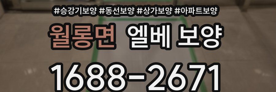 월롱면 엘베 보양