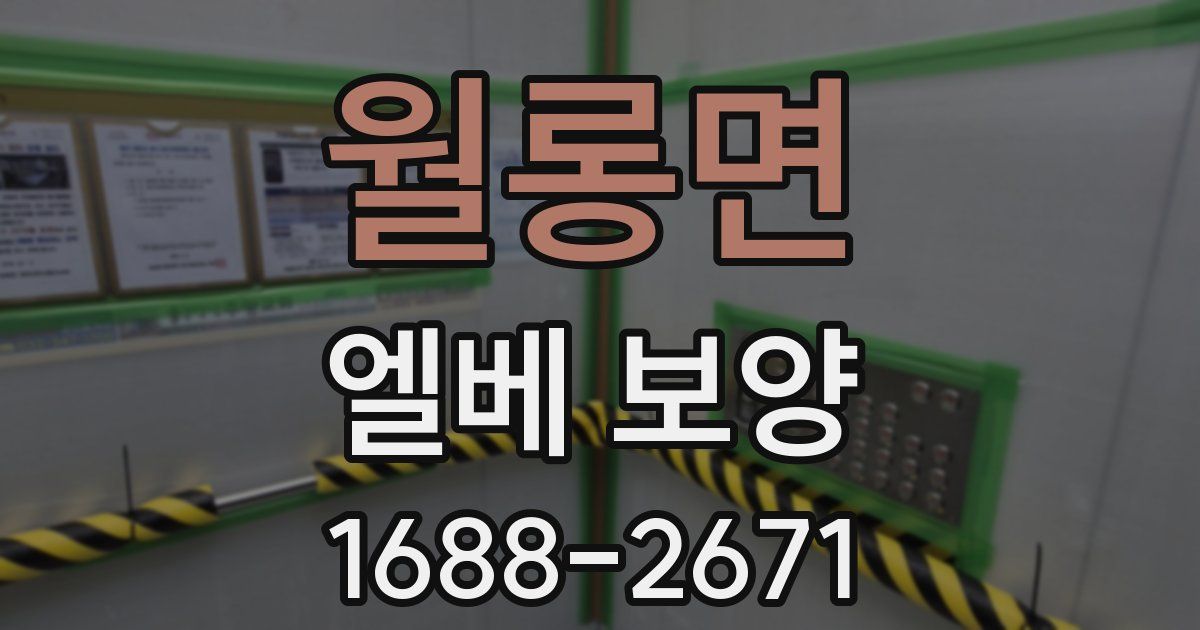월롱면 엘베 보양