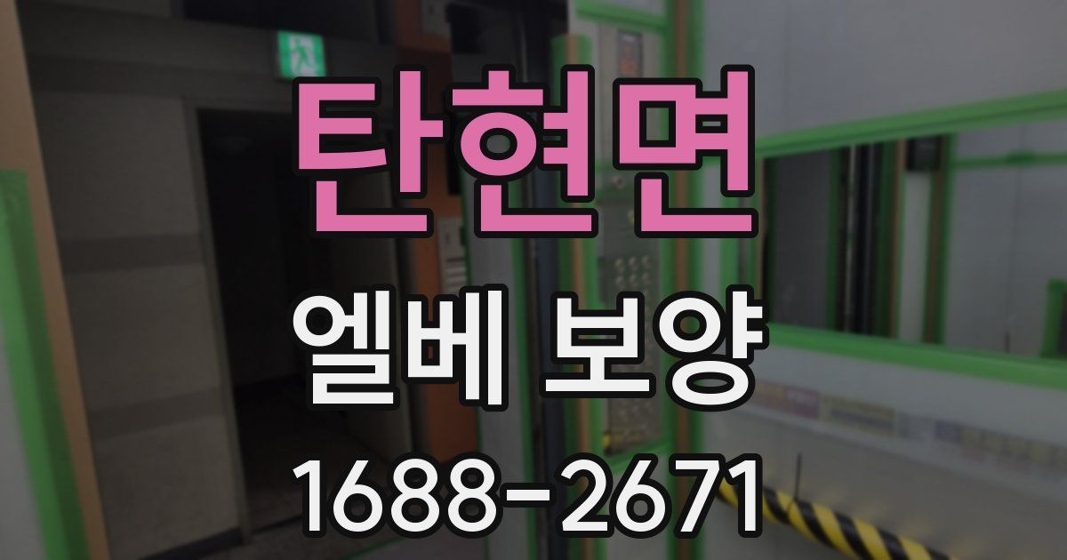 탄현면 엘베 보양