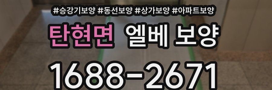 탄현면 엘베 보양