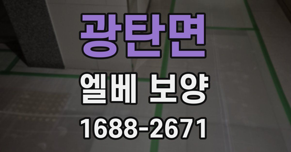 광탄면 엘베 보양