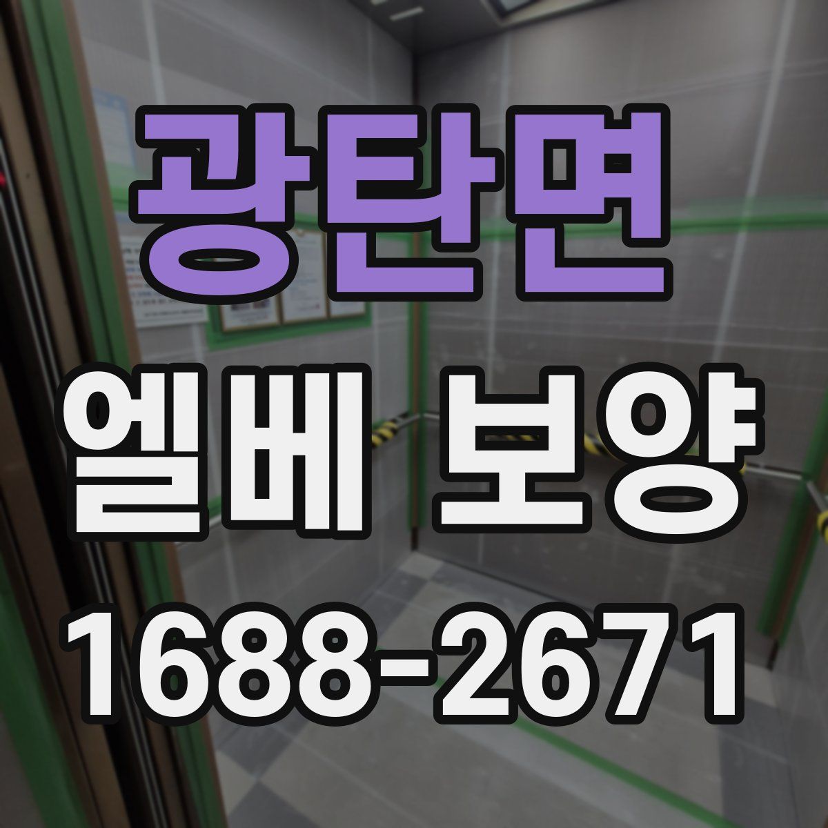 광탄면 엘베 보양