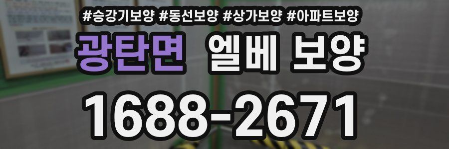 광탄면 엘베 보양