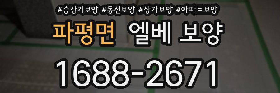 파평면 엘베 보양
