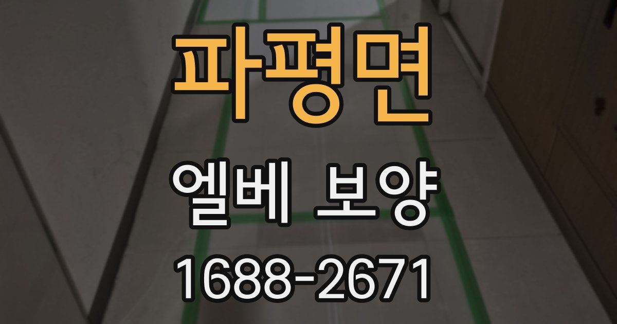 파평면 엘베 보양