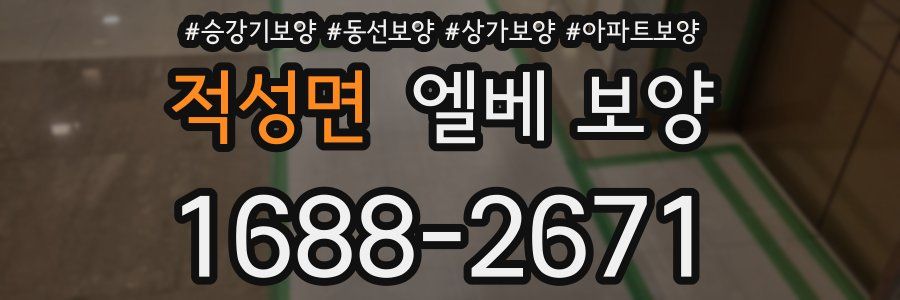 적성면 엘베 보양