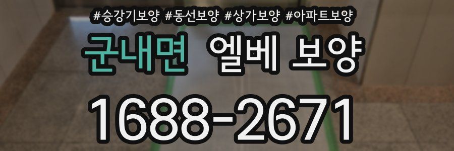 군내면 엘베 보양