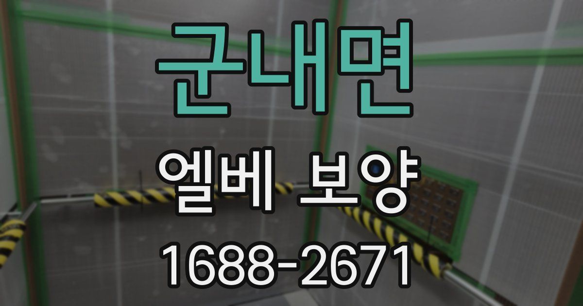 군내면 엘베 보양