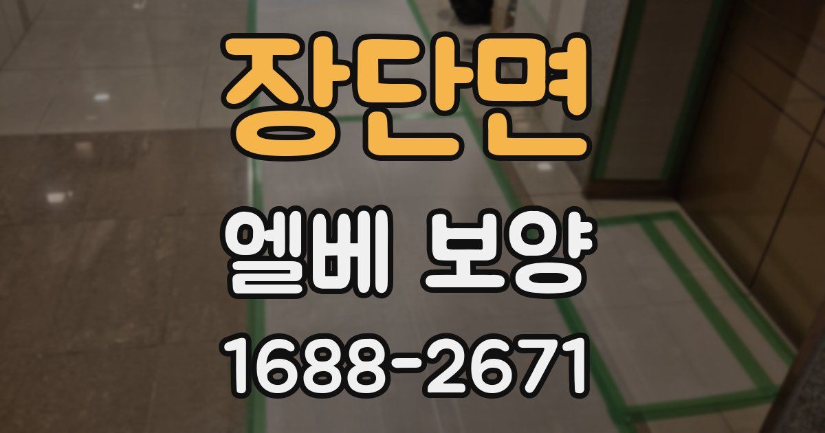 장단면 엘베 보양