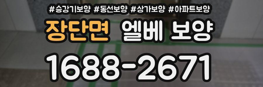 장단면 엘베 보양