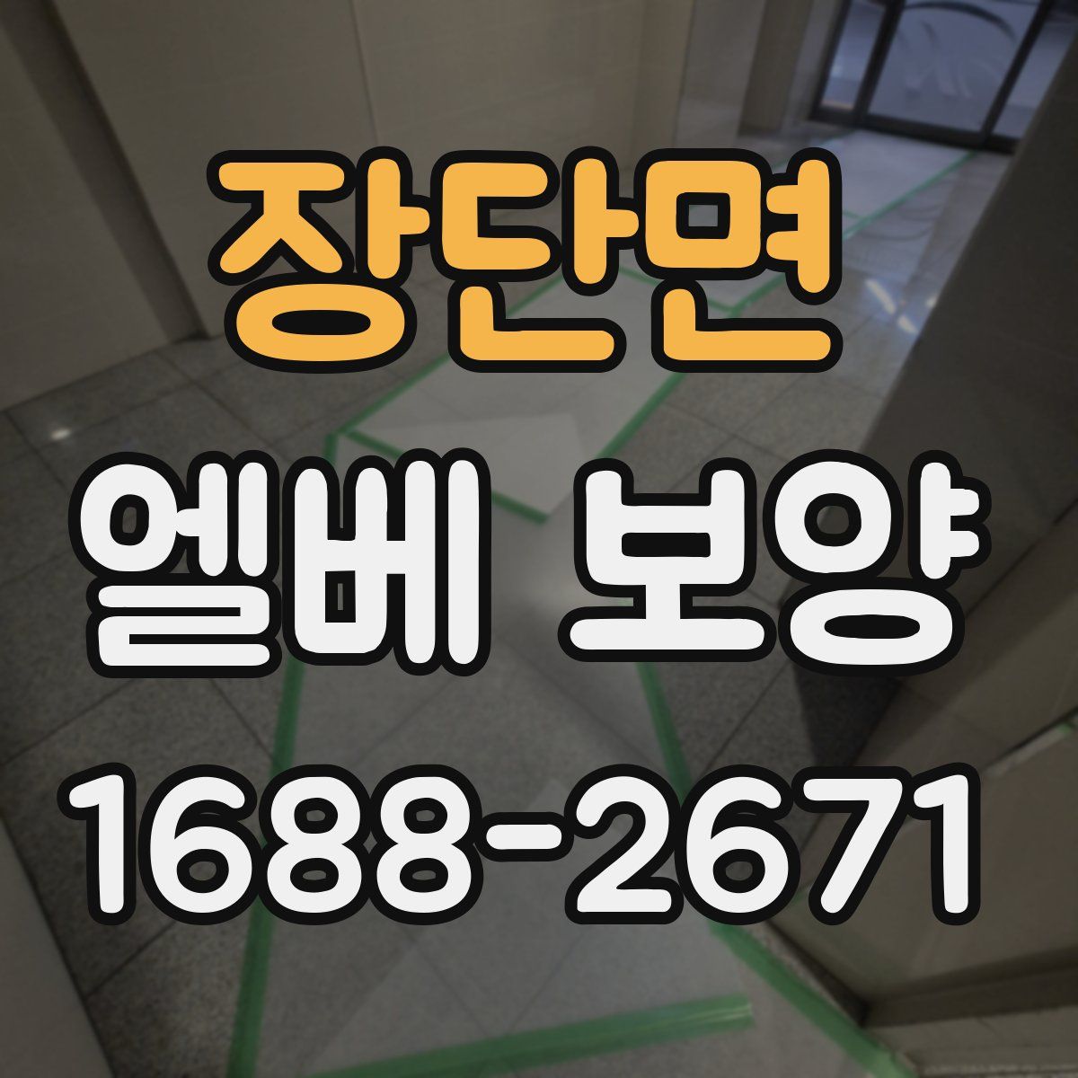 장단면 엘베 보양