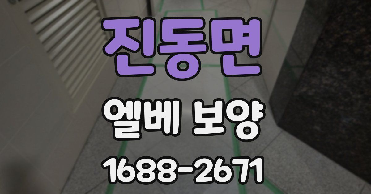 진동면 엘베 보양