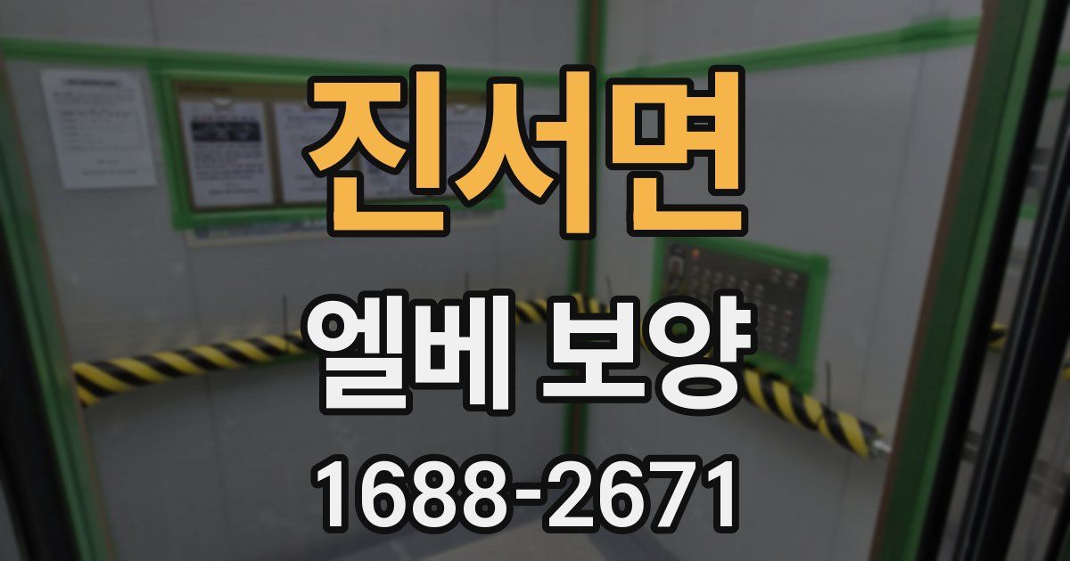 진서면 엘베 보양