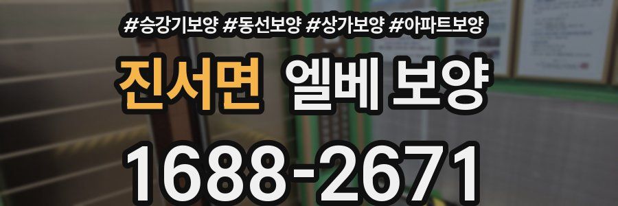 진서면 엘베 보양