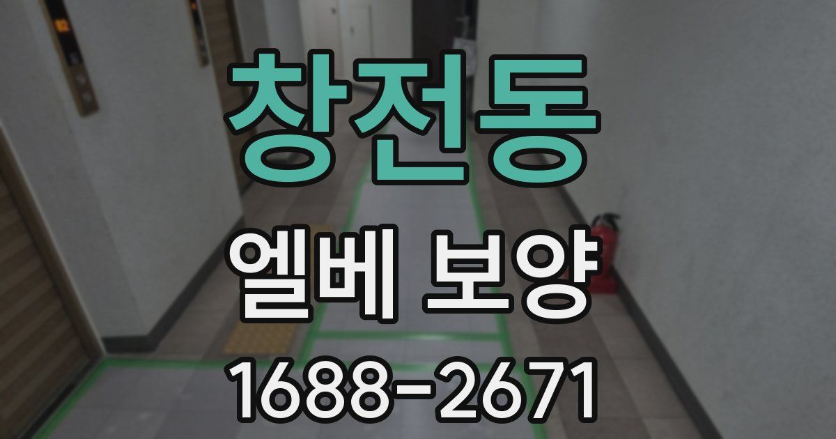 창전동 엘베 보양