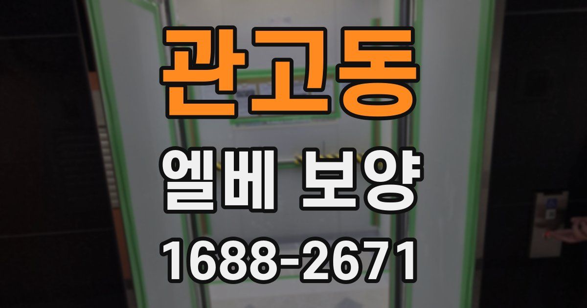관고동 엘베 보양