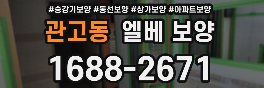 관고동 엘베 보양