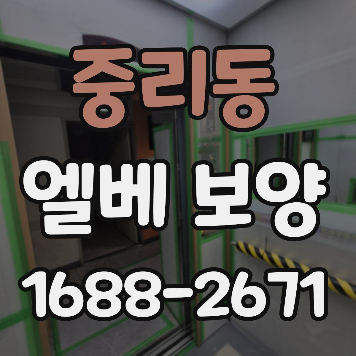 중리동 엘베 보양