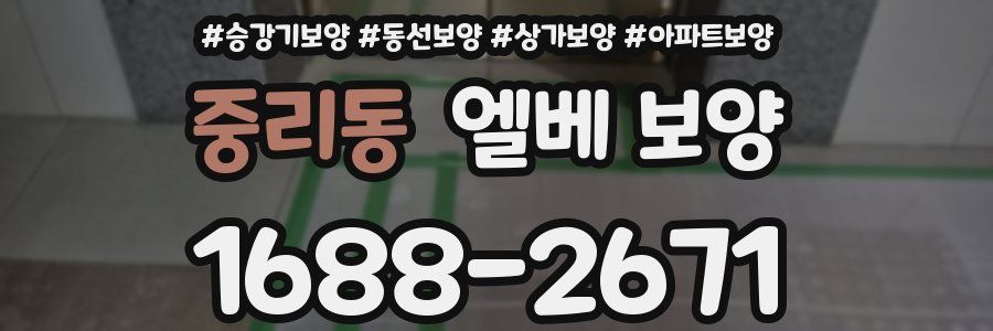 중리동 엘베 보양