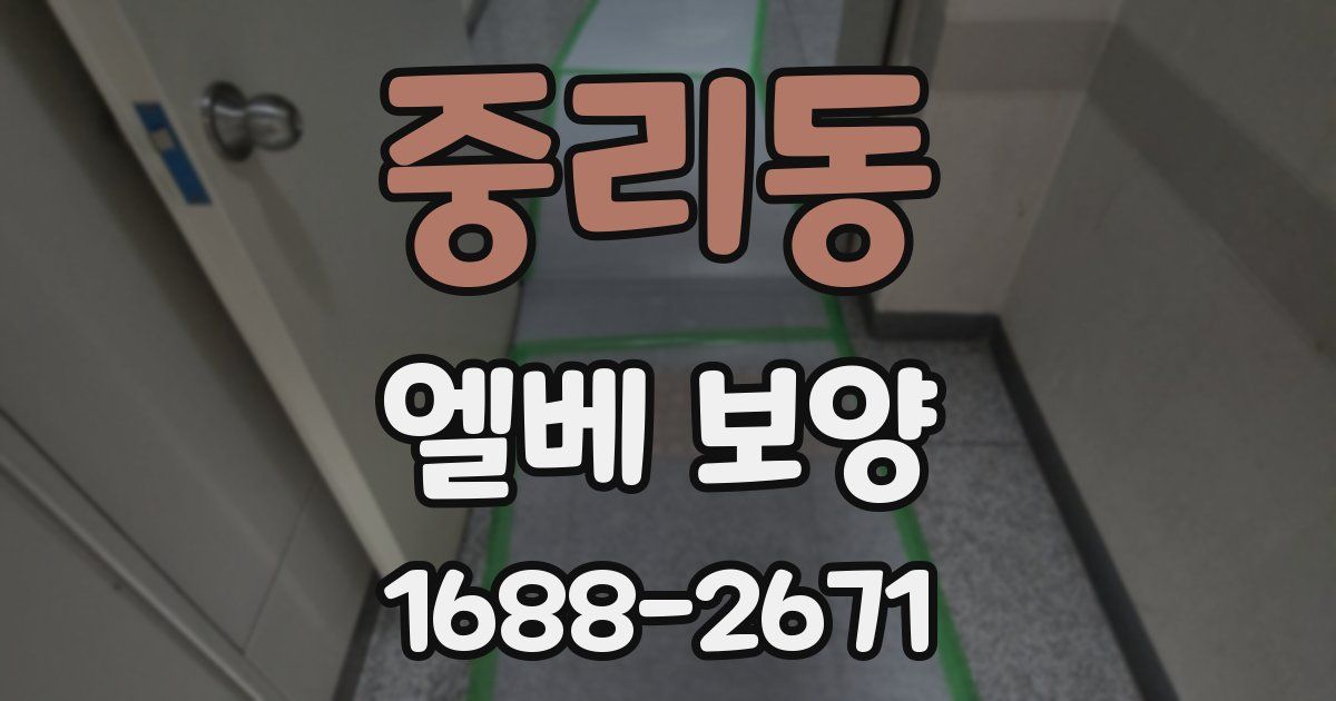 중리동 엘베 보양
