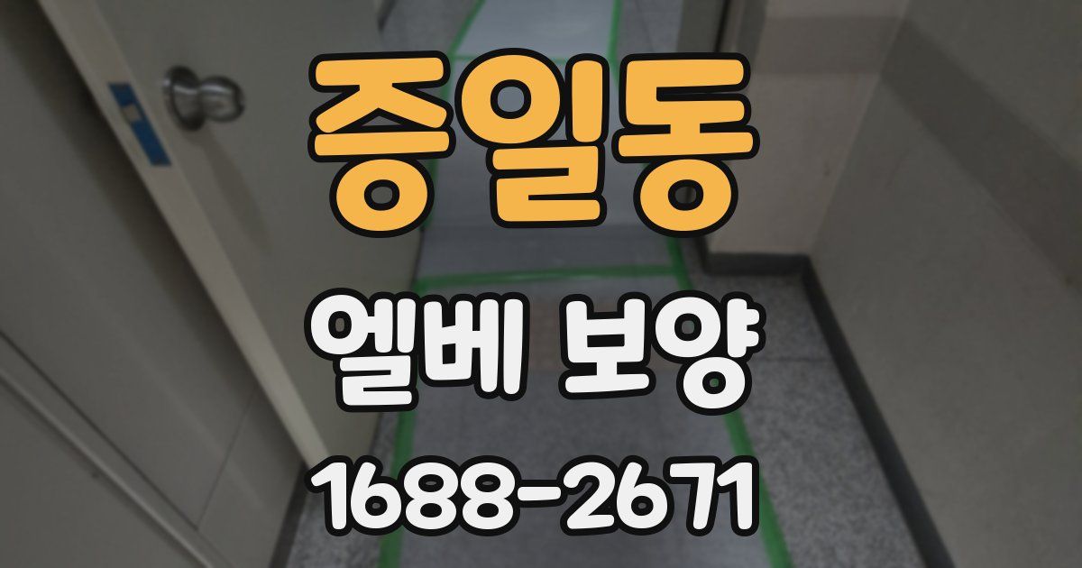 증일동 엘베 보양