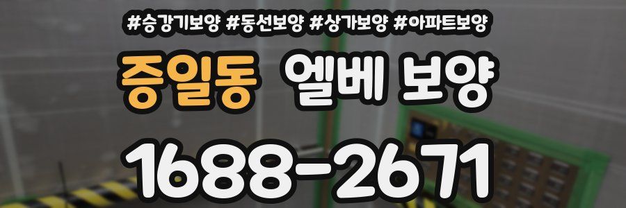 증일동 엘베 보양