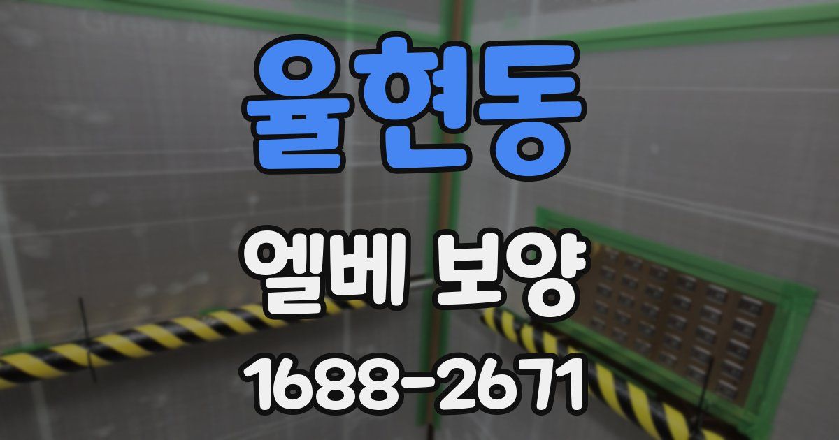율현동 엘베 보양