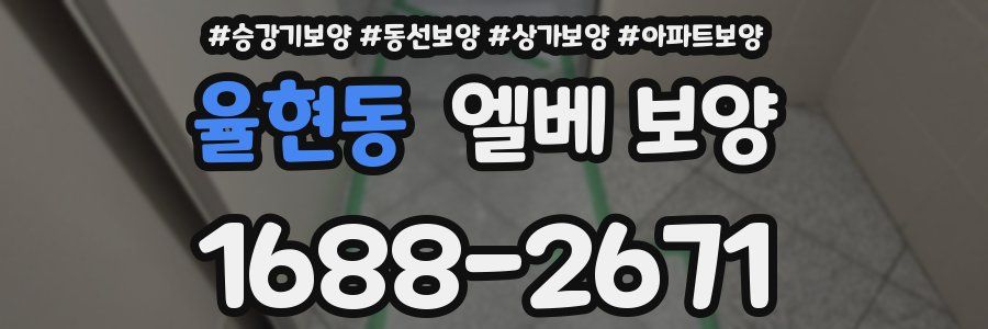 율현동 엘베 보양