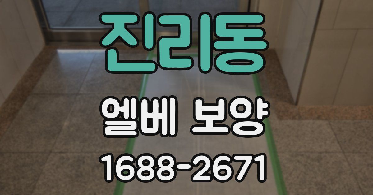 진리동 엘베 보양