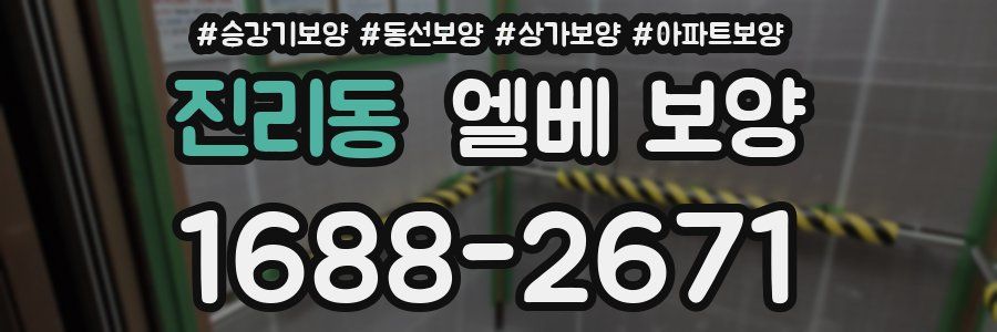 진리동 엘베 보양