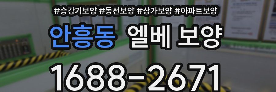 안흥동 엘베 보양