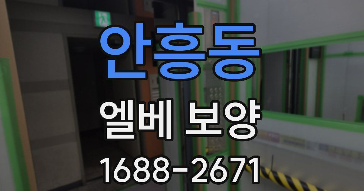 안흥동 엘베 보양