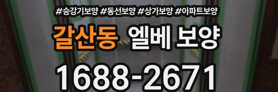 갈산동 엘베 보양