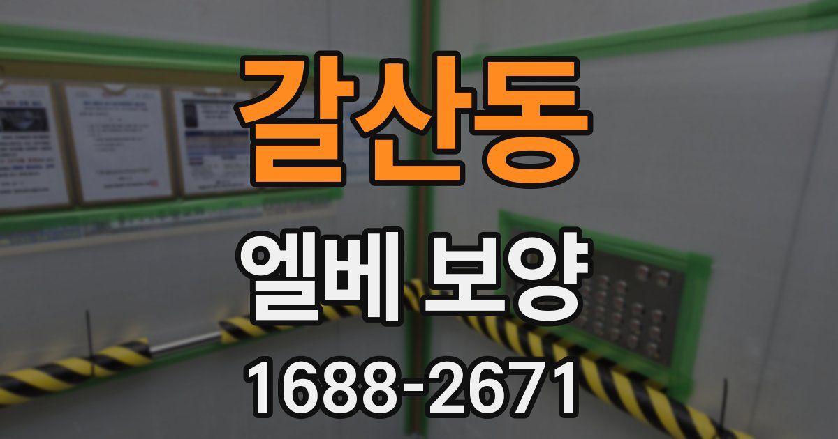 갈산동 엘베 보양