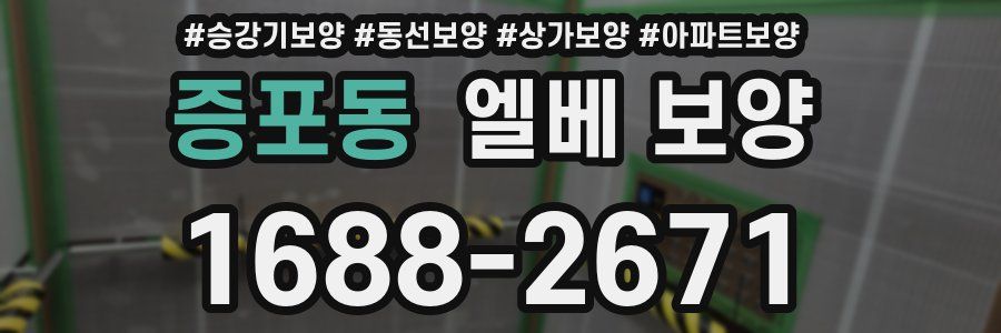 증포동 엘베 보양