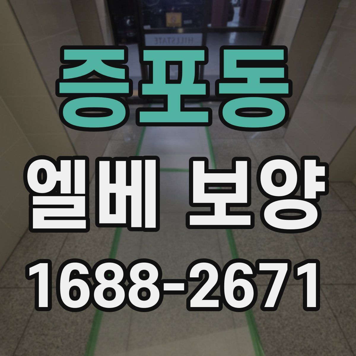 증포동 엘베 보양