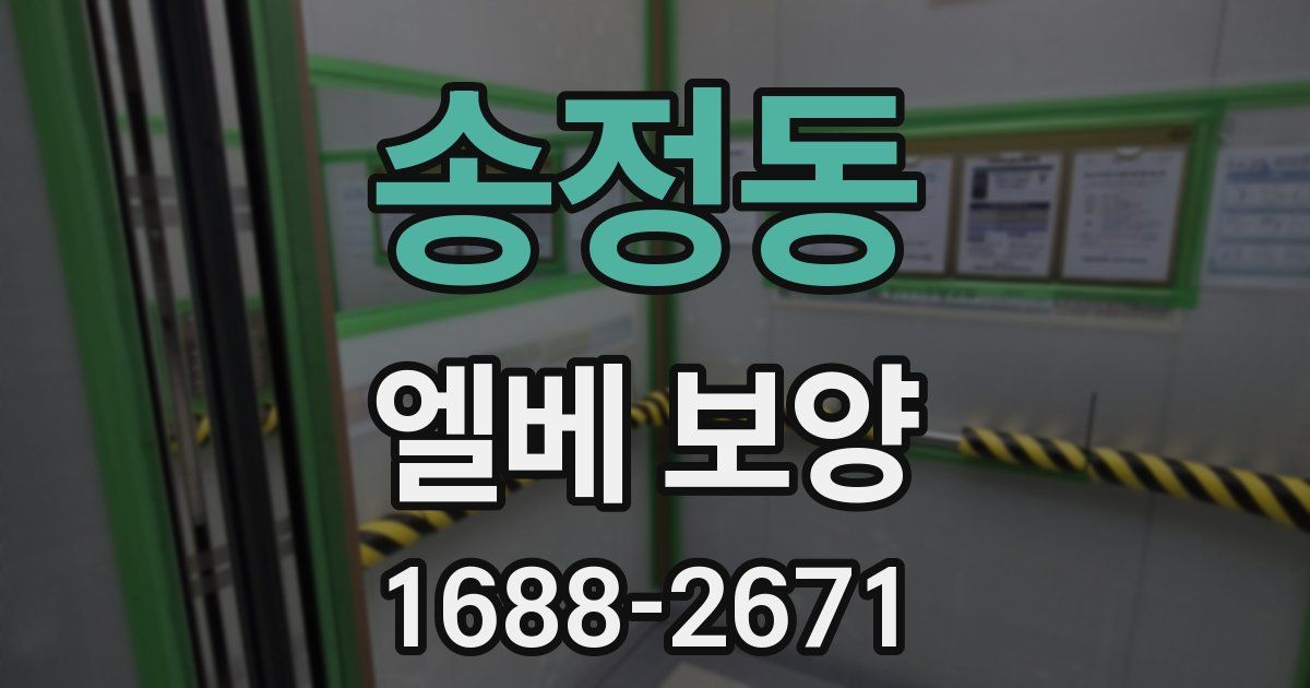 송정동 엘베 보양