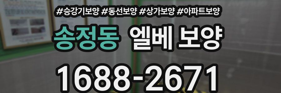 송정동 엘베 보양