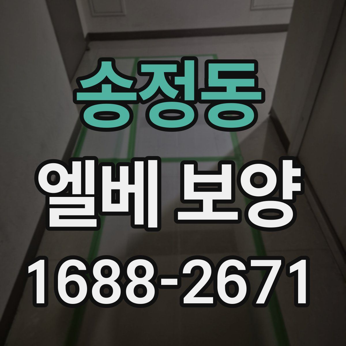송정동 엘베 보양