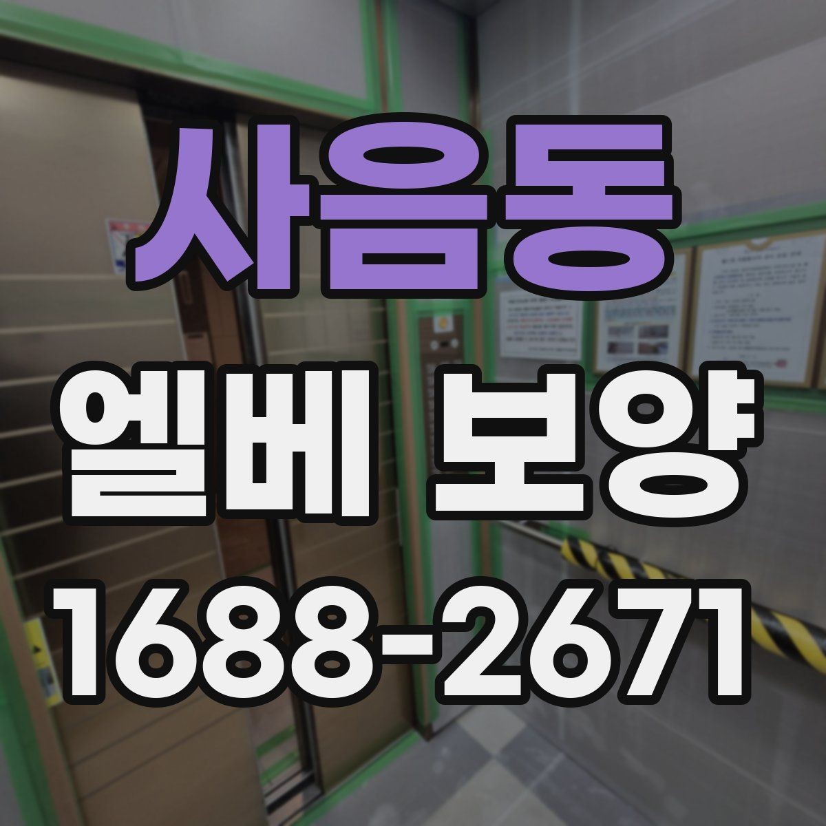 사음동 엘베 보양 장비 반입이 잦을 때 손상 줄이는 대처법