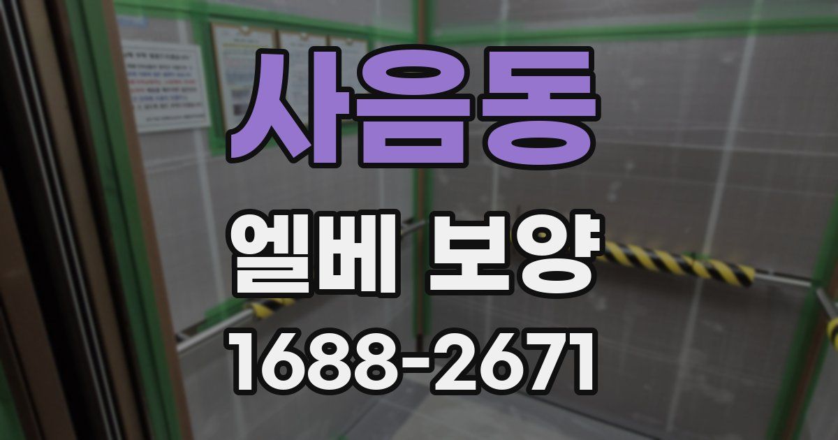 사음동 엘베 보양