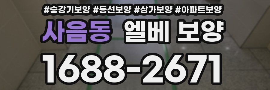 사음동 엘베 보양