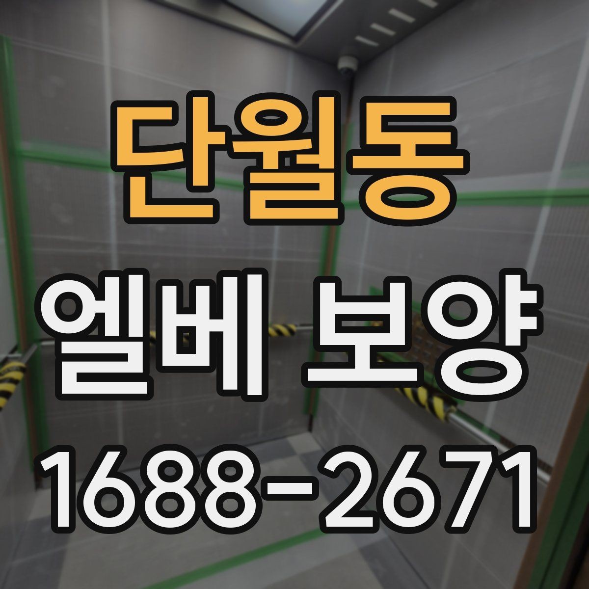 단월동 엘베 보양 공용 승강기 사용 전 점검해야 할 부분