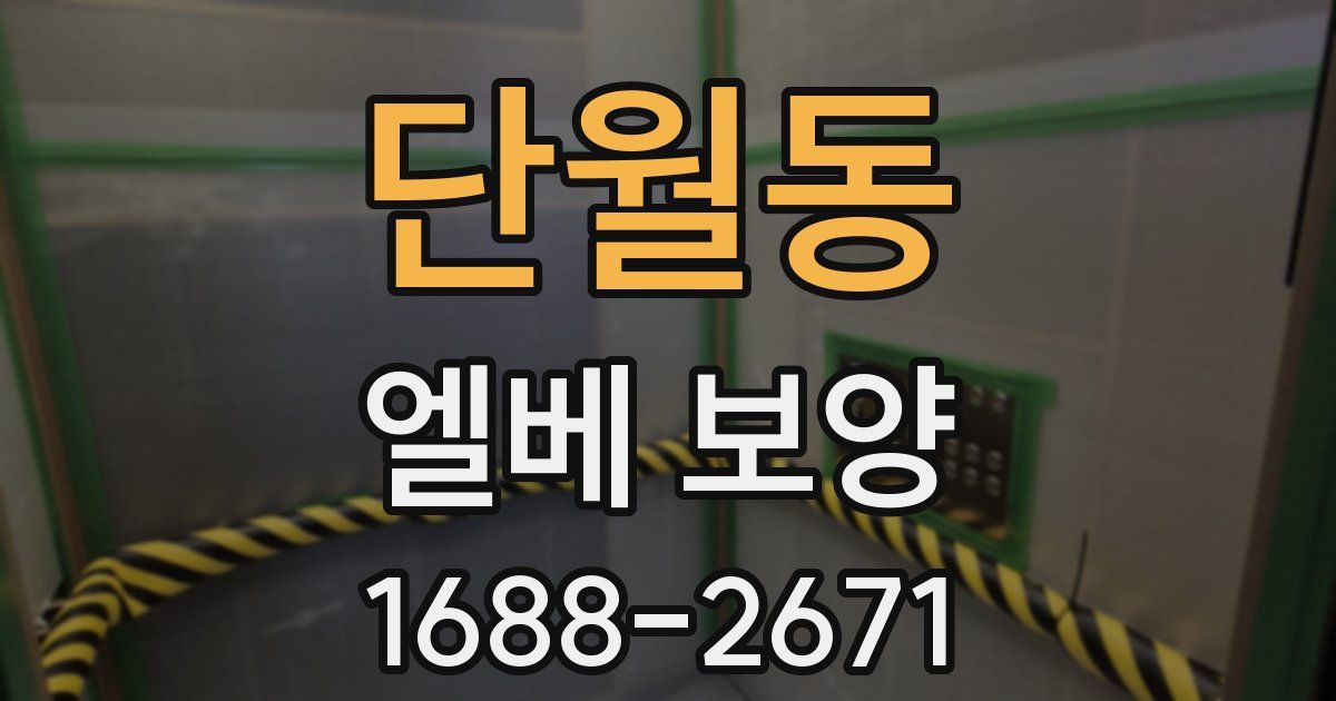 단월동 엘베 보양